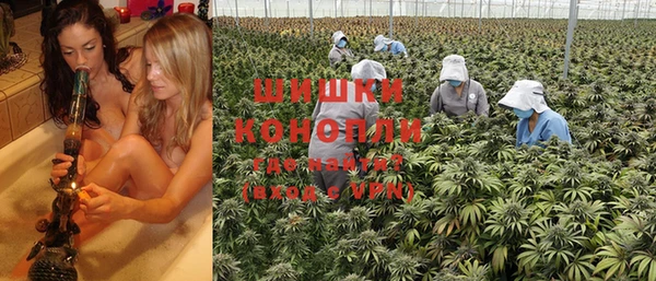 гидропоника Ельня
