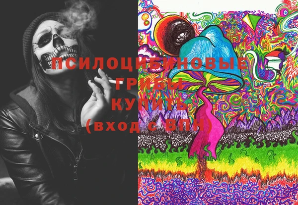гидропоника Ельня