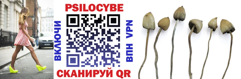 Псилоцибиновые грибы мухоморы  Купить где  Далматово 